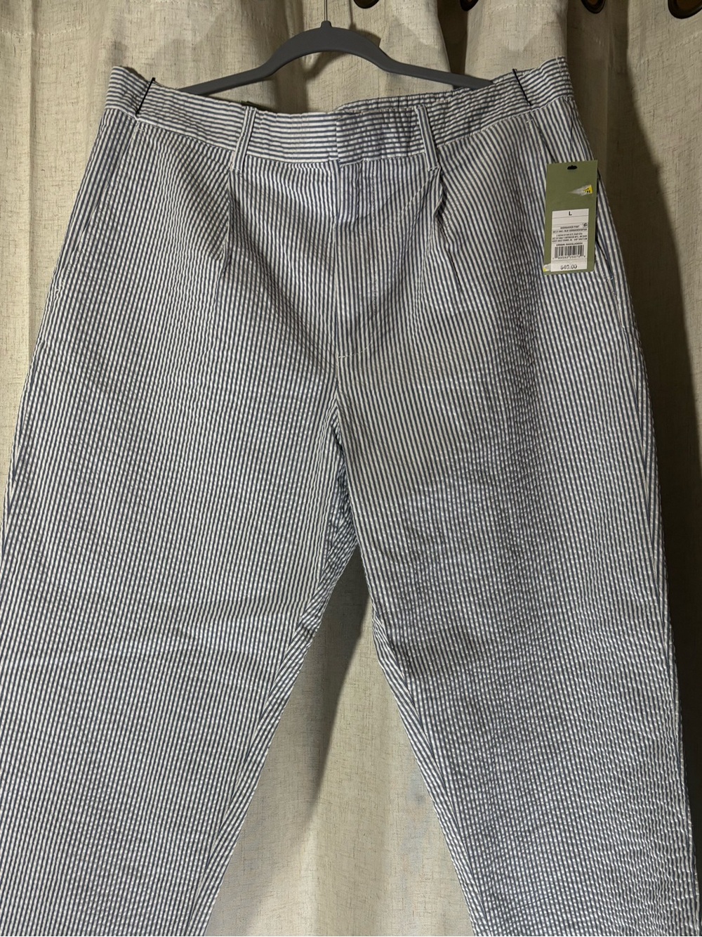 Goodfellow & Co Blue/White Seersucker Chinos